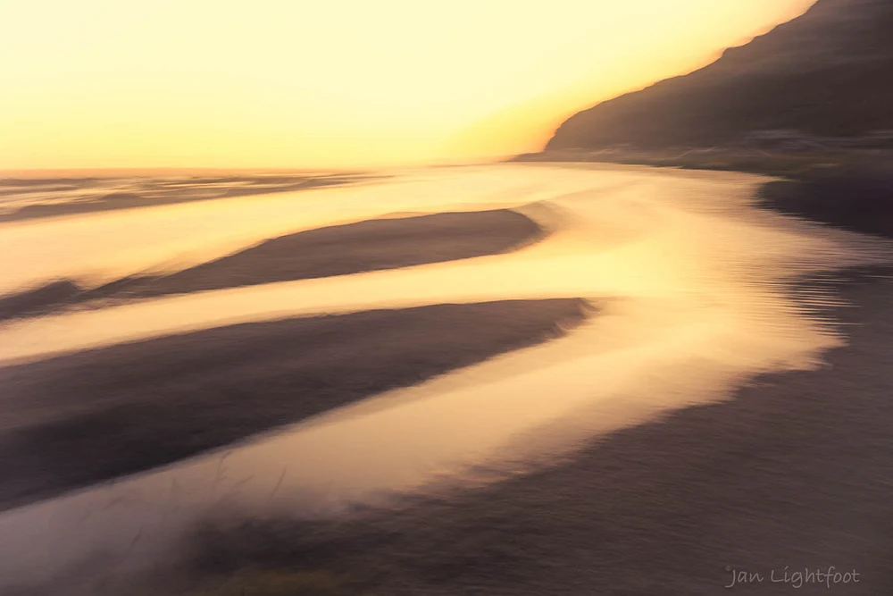 "unseen and unheard bound to the rhythms of earth… circadian songs "