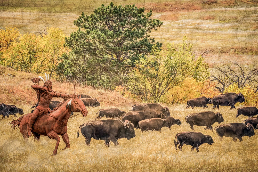 Native American Hunter on Horseback with Bison Herd