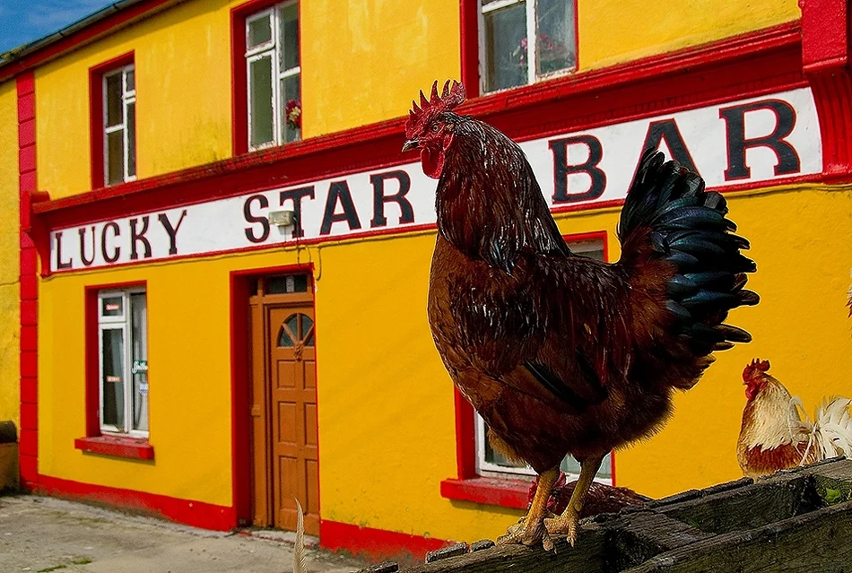 June_Ireland