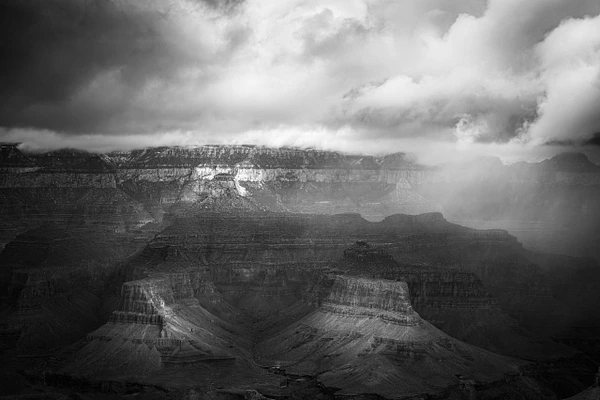 Barbara Altevers Photography