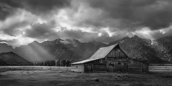 Barbara Altevers Photography