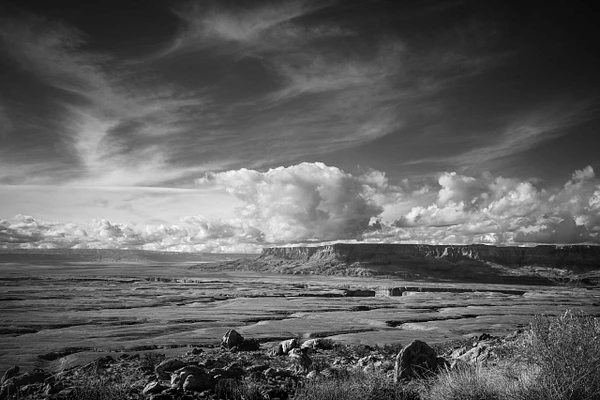 Barbara Altevers Photography