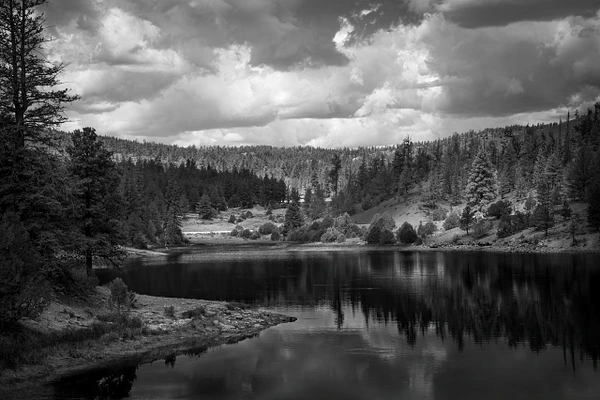 Barbara Altevers Photography