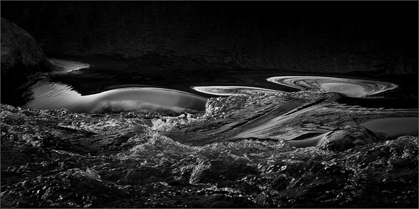 Barbara Altevers Photography