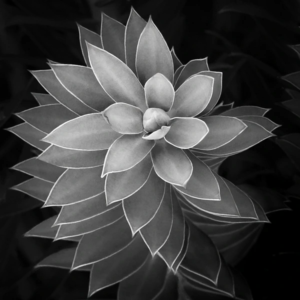 Barbara Altevers Photography