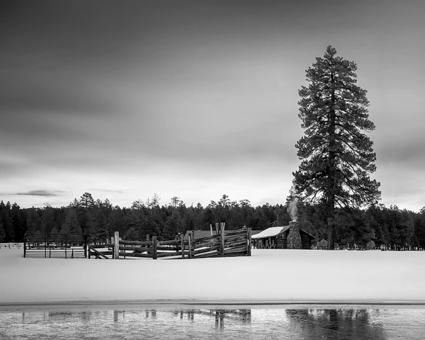 Barbara Altevers Photography