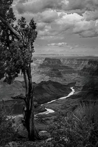Barbara Altevers Photography