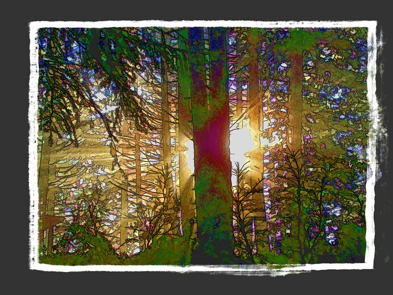 Sun_ray_in_wood