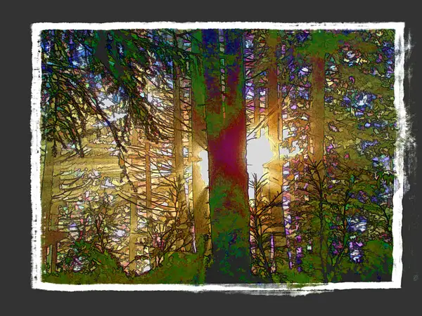 Sun_ray_in_wood by MarcelEscher895