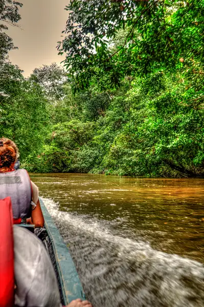 Canoe trip around Cuyabeno reserve by MarcelEscher895 by...
