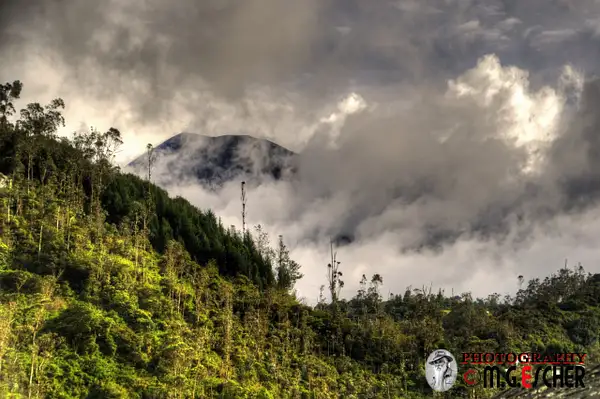 La Casa del Arbol Y Tungurahua volcano by...