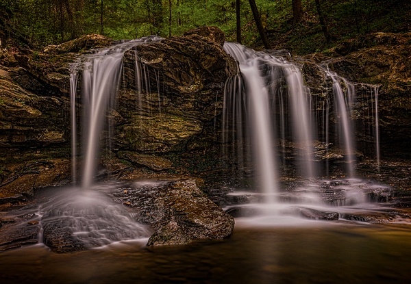 Veil of the Forest - final - Places - DHP Photography