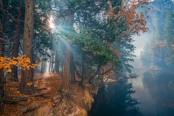 Where the Light Enters by dshildrethpisarcik