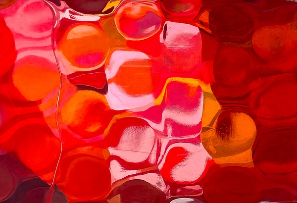 IMG_8198-topaz-focus-denoise - Abstract Color - Abstract Photography by Julie Markes