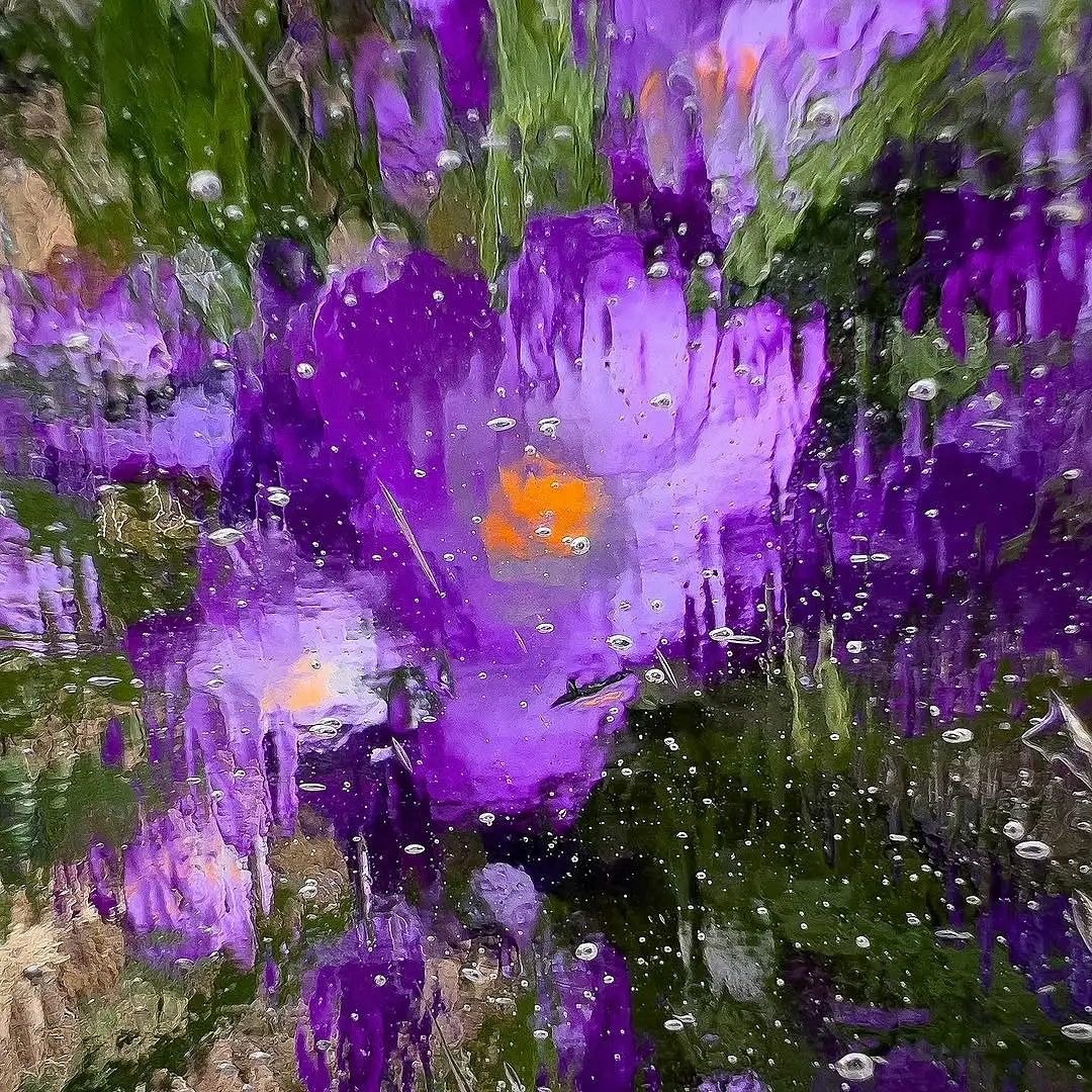Abstract Photography by Julie Markes