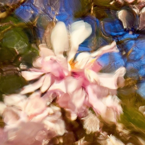 Abstract Photography by Julie Markes