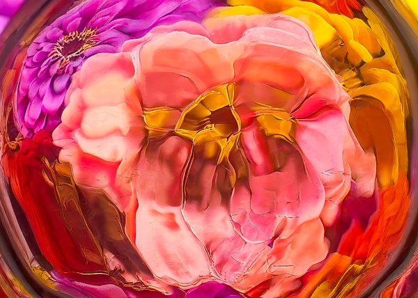 abstract-color-14 - Botanicals - Abstract Photography by Julie Markes