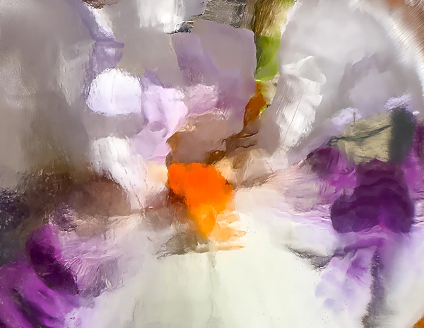 Abstract Photography by Julie Markes