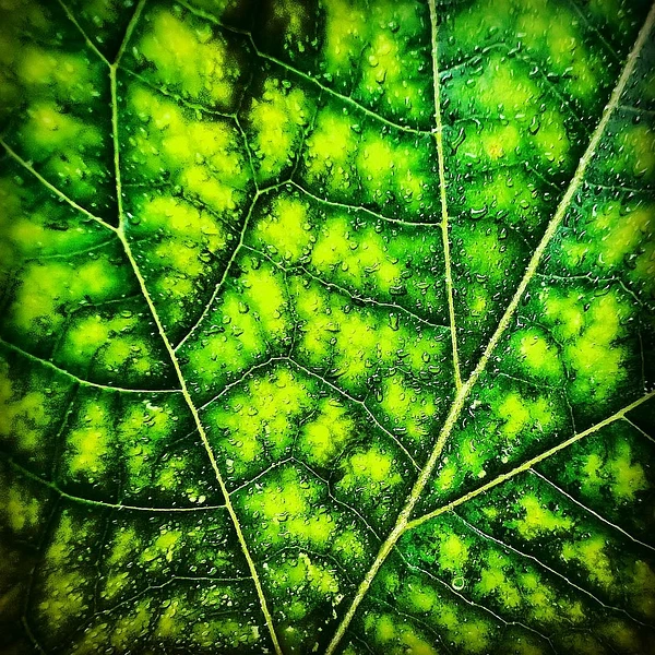 Abstract Photography by Julie Markes