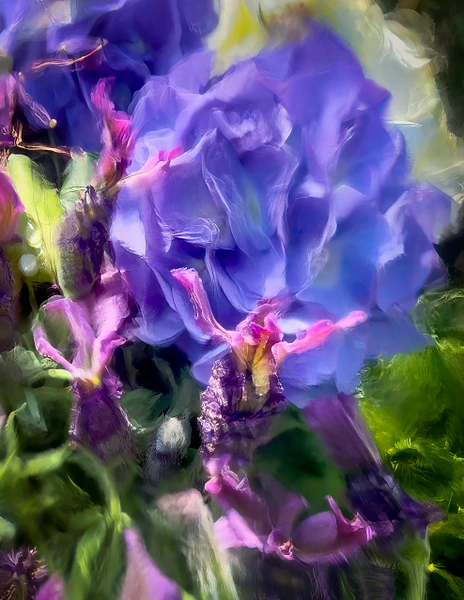 Abstract Photography by Julie Markes