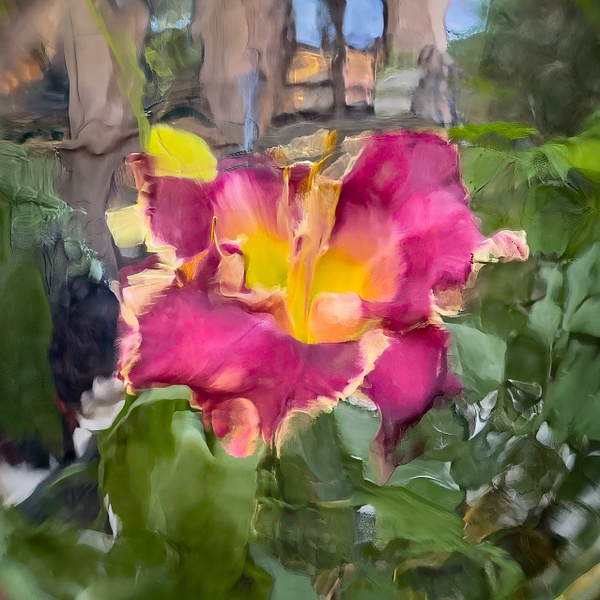 IMG_1562-Edit-2 - Botanicals - Abstract Photography by Julie Markes