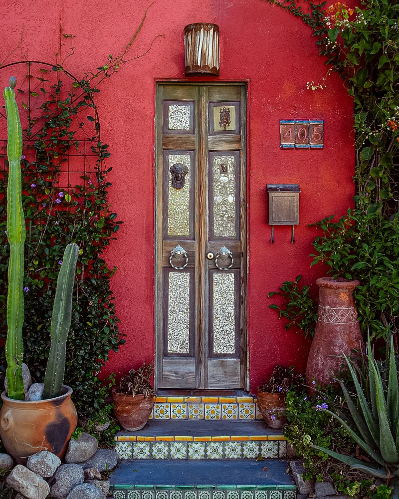 A charming doorway in Barrio Historico, framed by cacti and vibrant greenery.