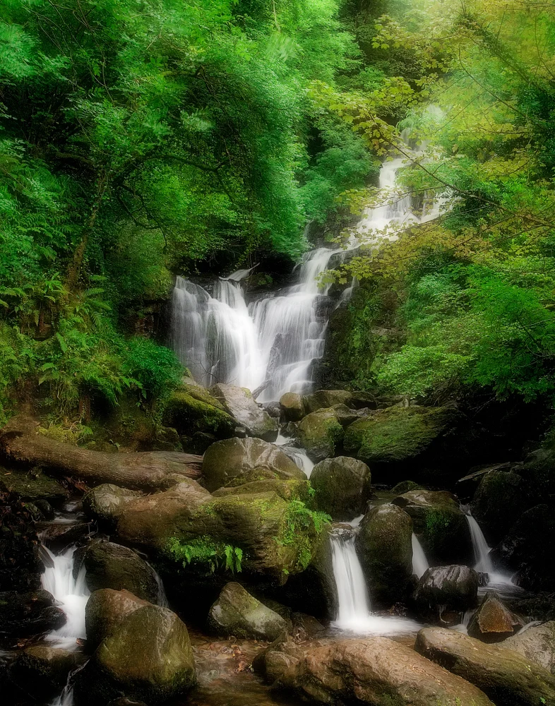 Scenic view of Torc Waterfall in Ireland, surrounded by lush green foliage and flowing water.