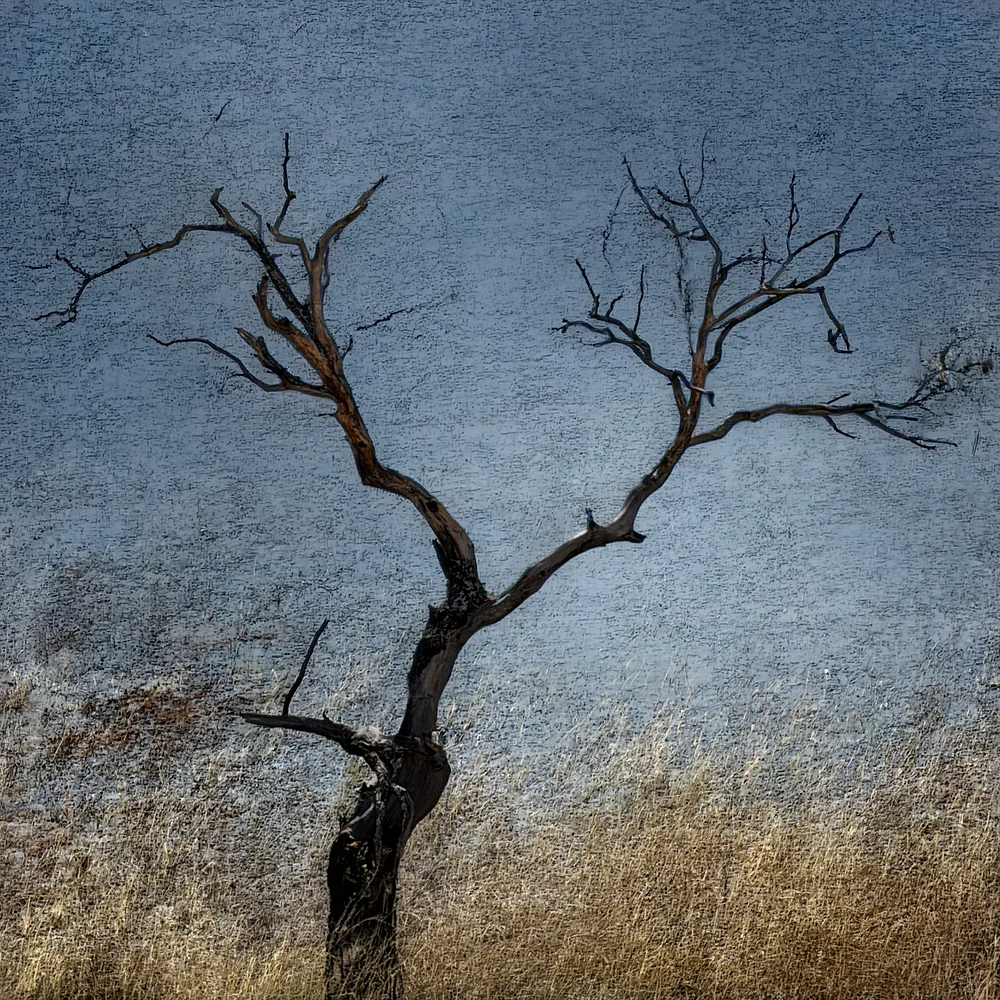Surreal geographies 02