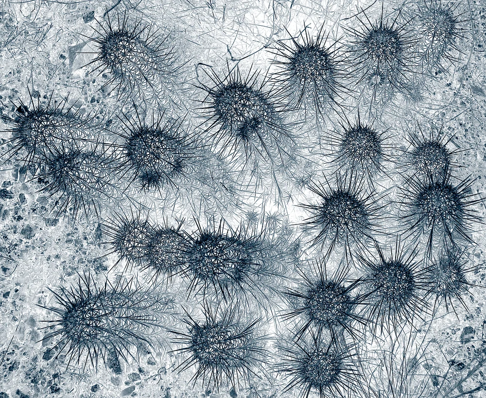 Surreal geographies 13