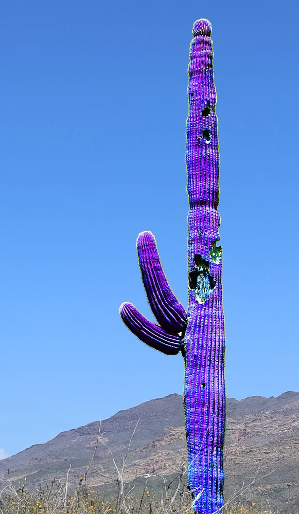 Surreal geographies 07