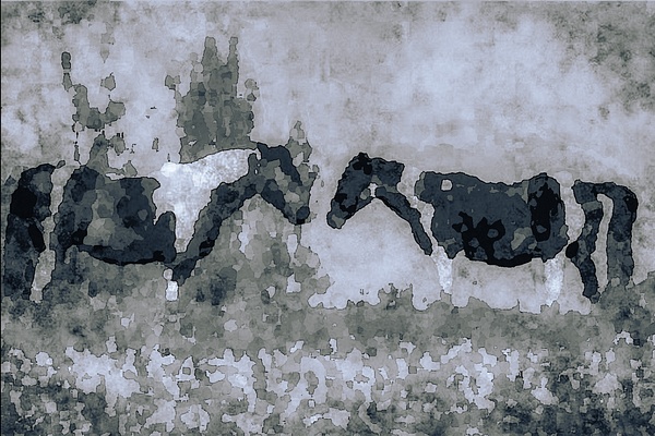 untitled-2 - Watering Hole - Stephen Heidel Photography