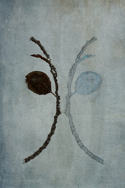 Transient Beauty