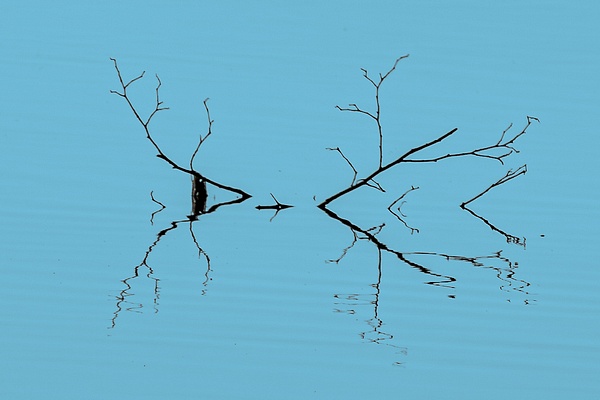 untitled-3 - Natural Rhythms - Stephen Heidel Photography