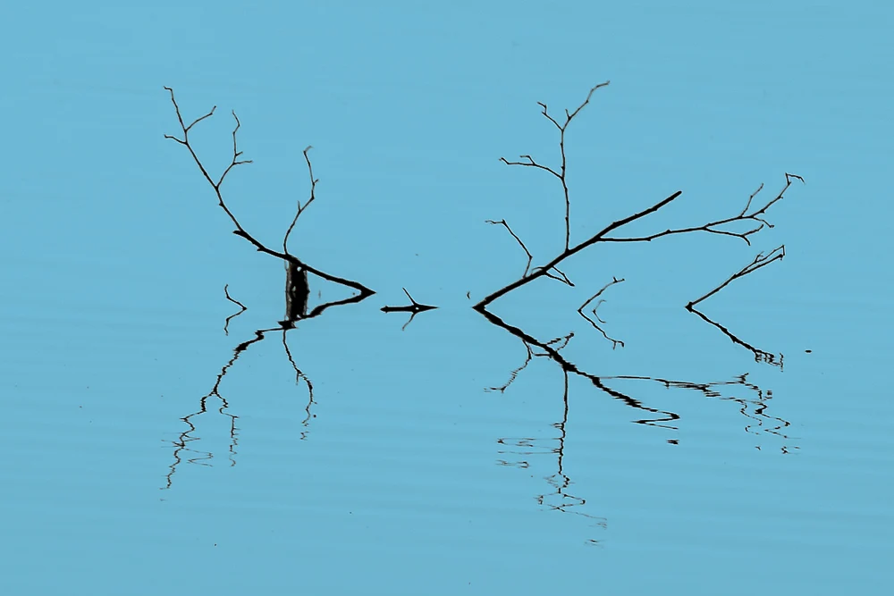untitled-3