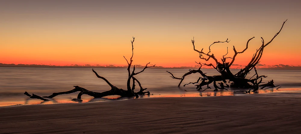 Serene Sunrise at Driftwood Beach, Jekyll Island, Georgia Sunrise over Driftwood Beach in Jekyll Island, Georgia, highlighting twisted driftwood silhouettes against a colorful sky.