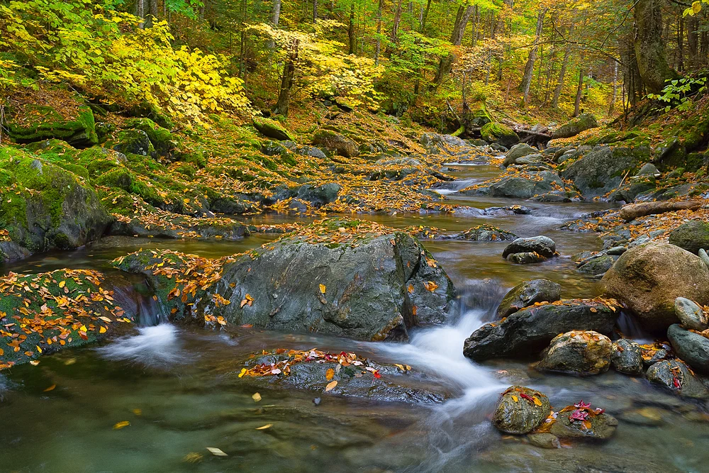 Vermont Stream-
