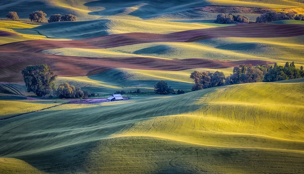 Isolated Palouse Barn