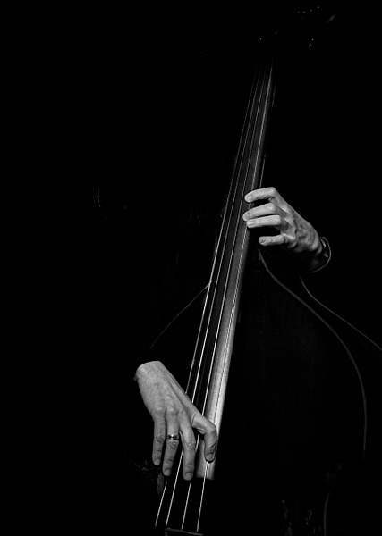 Bass in the dark - Musicians Portraits - Paul Kober Photography
