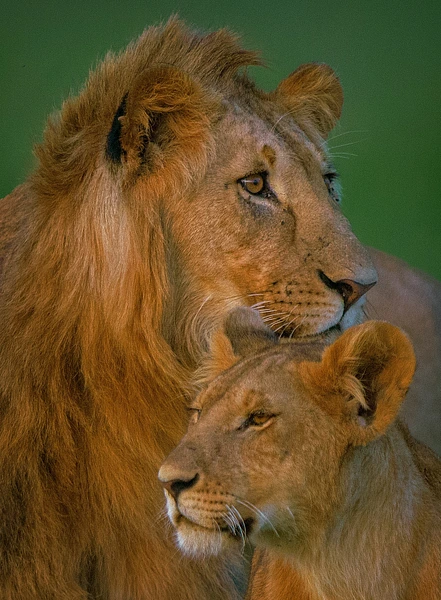 Michael Weinman Photography