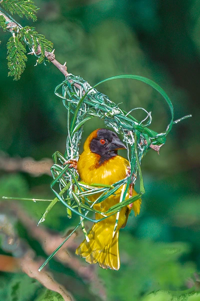 Michael Weinman Photography