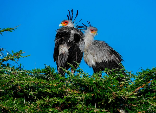Michael Weinman Photography