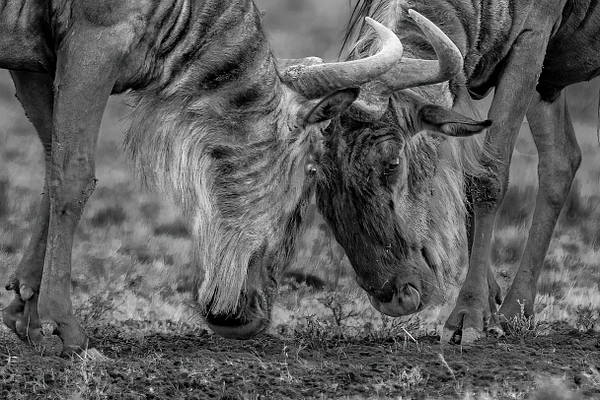 Michael Weinman Photography