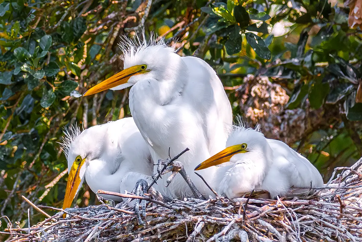 Michael Weinman Photography