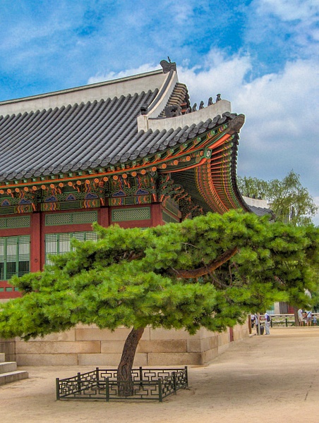 Osan TDY - China-Mongolia-Korea - bradleybarnesphoto