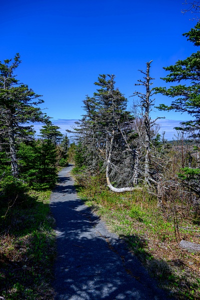 Skyline Trail - Cape Breton Highland National Park  - Nova Scotia - Canada - Canada 2026 Portrait - TravelMichi
