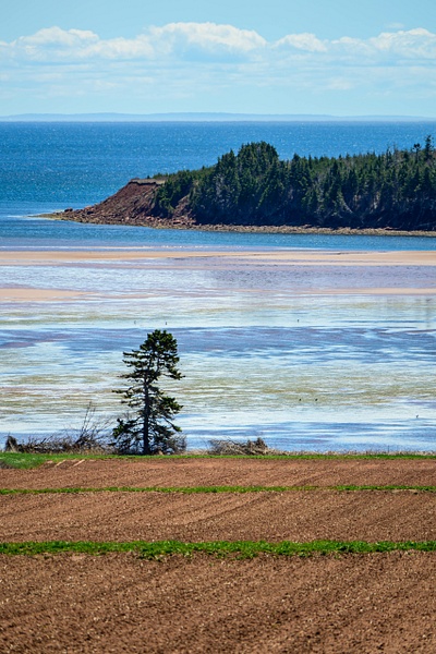 Prince Edward Island - Canada - Canada 2026 Portrait - TravelMichi