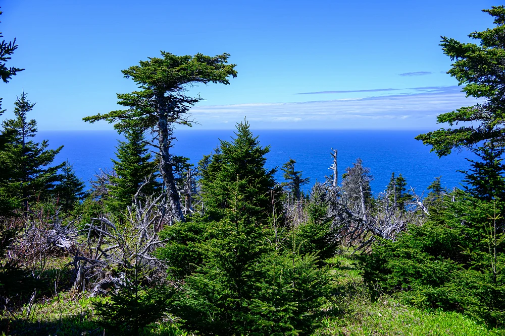 Skyline Trail - Cape Breton Highland National Park  - Nova Scotia - Canada