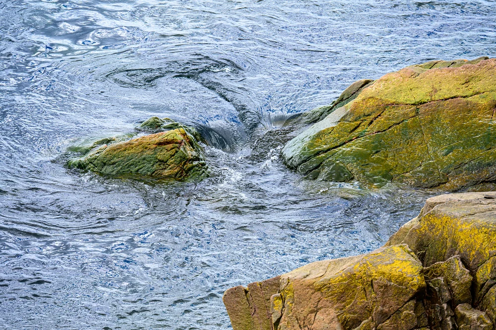 Cape Breton Highland National Park  - Nova Scotia - Canada