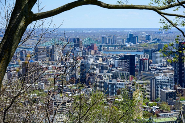 Mont (Mount) Royal - Québec - Canada - Canada 2026 Landscape - TravelMichi