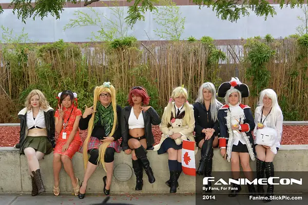FanimeCon_11274 by Fanime2014